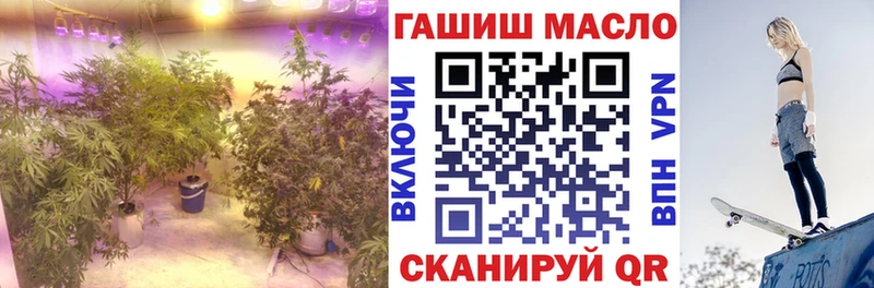 ТГК концентрат  маркетплейс клад  Красный Кут  где можно купить  