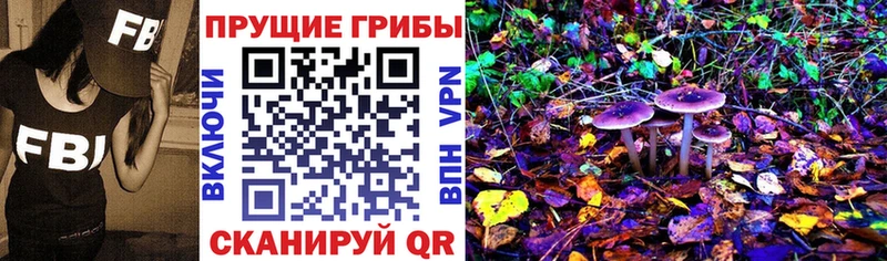 Псилоцибиновые грибы Magic Shrooms  Красный Кут 